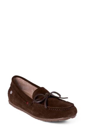 Minnetonka Moc Toe Loafer in Dark Chocolate at Nordstrom, Size 7.5