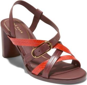 Cole Haan Dillon Slingback Sandal in Mahogany/Summer Fig Snake at Nordstrom, Size 7.5