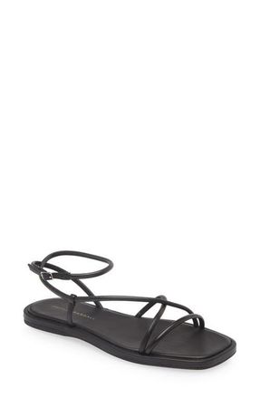 Loeffler Randall Noor Ankle Strap Sandal in Black at Nordstrom, Size 6.5