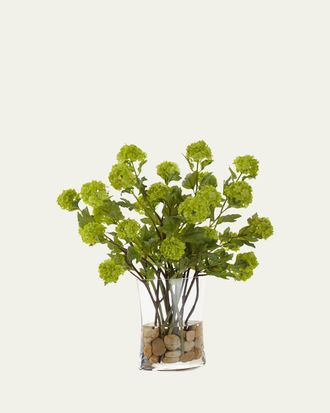 John-Richard Vibrant Viburnum