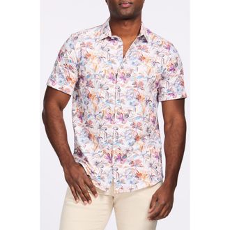 Robert Graham Short Sleeve Stretch Cotton Button-Up Shirt in White at Nordstrom Rack, Size Xx-Large