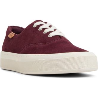 Sperry Top-Sider Candy CVO Platform Sneaker in Prune at Nordstrom Rack, Size 7.5
