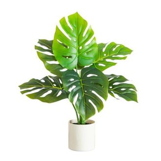 Nearly Natural 20-in Artificial Swiss Monstera Plant in Green at Nordstrom