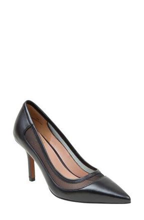Linea Paolo Perline Pointed Toe Pump in Black at Nordstrom Rack, Size 7.5
