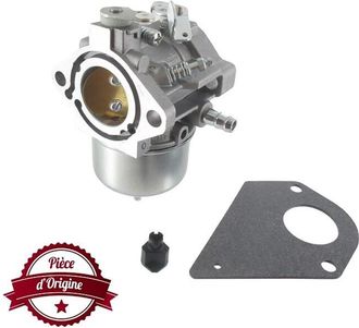 OEM Carburador Tractor Motor Briggs Y Stratton - 698171
