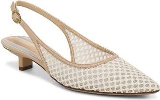 Franco Sarto Pura Slingback Pointed Toe Kitten Heel Pump in Off White at Nordstrom, Size 9.5