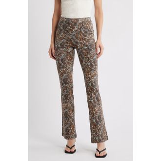 Hue Leopard Print Pull-On Bootcut Jeans in Brown at Nordstrom, Size X-Large