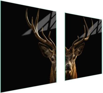 OEM Placa Protectora De Vidrio Para Estufa 85x52 Ciervo