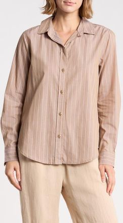 Beach Lunch Lounge Bentley Stripe Long Sleeve Cotton Button-Up Shirt in Cocoa Latte at Nordstrom, Size X-Small