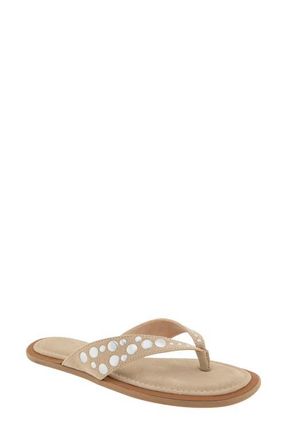 BCBGeneration Zelilya Studded Flip Flop in Taupe at Nordstrom, Size 8.5