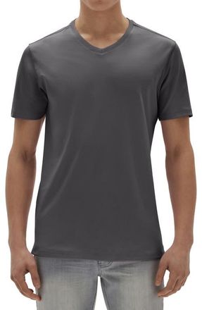 Robert Barakett Georgia Regular Fit V-Neck T-Shirt in Cannon at Nordstrom, Size Xx-Large