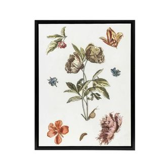 Artery8 Flowers Snail & a Caterpillar Johan Teyler Black Framed Canvas Art in White | Size: W24 x H32