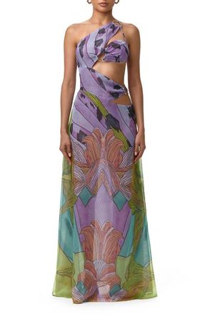 Naked Wardrobe Print Sheer Chiffon Cutout Maxi Dress in Lethal Botanical at Nordstrom, Size X-Large