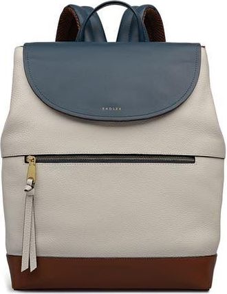 Radley London Albion Street Colorblock Backpack in Snow at Nordstrom Rack