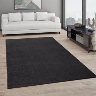 Paco Home Paco Home Tappeto Pelo Corto Lavabile, Monocolore Semplice e Moderno, div. misure e colori Nero, 200 cm quadrato