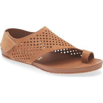 Pedro Garcia Valisa Leather Slide Sandal in Adobe Castoro at Nordstrom, Size 10.5Us