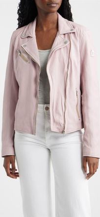 Mauritius Sofia Lambskin Moto Jacket in Hibiscus Pink at Nordstrom, Size 15