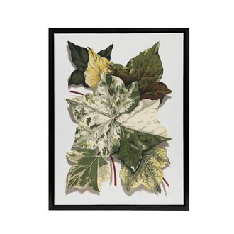 Artery8 Various Ivy Leaves Watercolor Painting Hibberd Framed Canvas Wall Art in Green | Size: W24 x H32