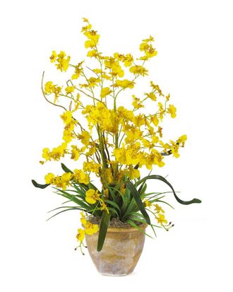 Nearly Natural Dancing Lady Silk Orchid Arrangement