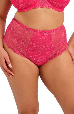 Elomi Darcie Briefs in Azalea at Nordstrom, Size 4X-Large