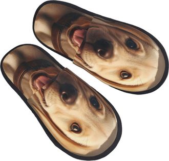 Generic Cute Labrador Dog Women Men Sliders Warm House Slippers Cosy House Shoes For Indoor Outdoor Winter M