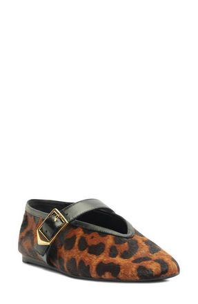 Schutz Vicki Buckle Mary Jane Flat in Animal Print at Nordstrom, Size 9.5