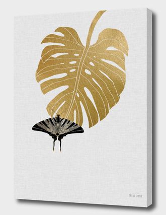 Curioos Butterfly & Monstera