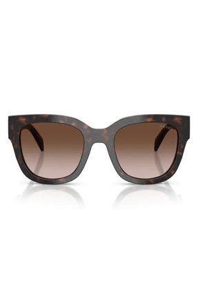 Prada 53mm Square Sunglasses in Root Tortoise /Brown Gradient at Nordstrom