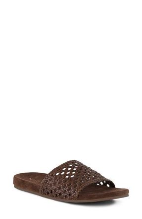 Seychelles Somerset Slide Sandal in Brown at Nordstrom, Size 11