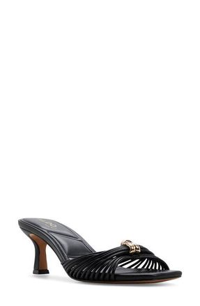 Aldo Arianna Slide Sandal in Black at Nordstrom, Size 7.5