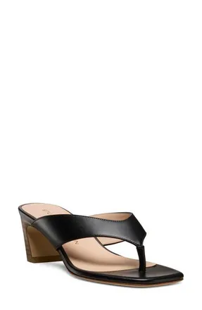 Stuart Weitzman Stassi 50 Thong Sandal in Black/New Camel at Nordstrom, Size 8.5