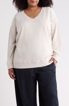 Eileen Fisher V-Neck Organic Cotton Sweatshirt in Plaster at Nordstrom, Size 1X