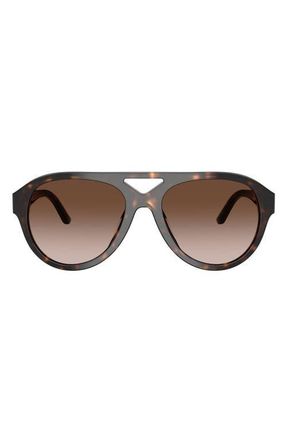 Tory Burch 55mm Polarized Gradient Pilot Sunglasses in Dark Tortoise /Brown Gradient at Nordstrom