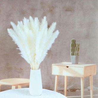 OEM Juego De 15 Grandes Ca&ntilde;as Artificiales De Hierba De La Pampa Para Rellenar Jarrones, Hogar, Cocina, Bodas, Oficina, Decoraci&oacute;n Bohemia -crezuo