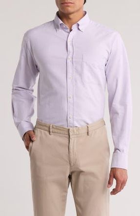 David Donahue Oxford Cotton Button-Down Sport Shirt in Lilac at Nordstrom Rack, Size Xx-Large