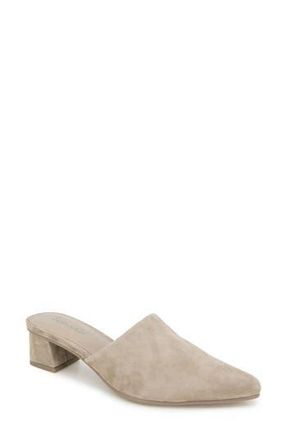 Splendid Laylai Pointed Toe Mule in Tan at Nordstrom Rack, Size 6.5