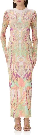 AFRM Didi Print Long Sleeve Maxi Dress in Vintage Swirl at Nordstrom, Size X-Large