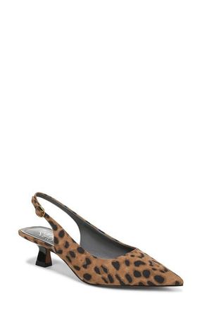 Franco Sarto Jaden Pointed Toe Slingback Pump in Camel Multi at Nordstrom, Size 6.5