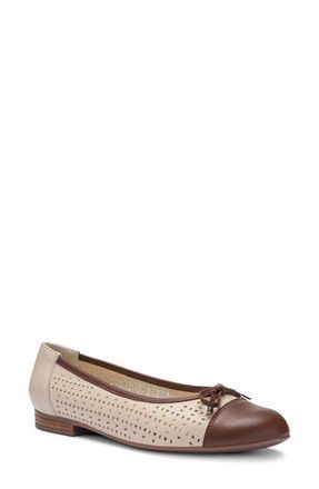 Ara Sangria Cap Toe Flat in Mocca/Beach at Nordstrom, Size 10.5