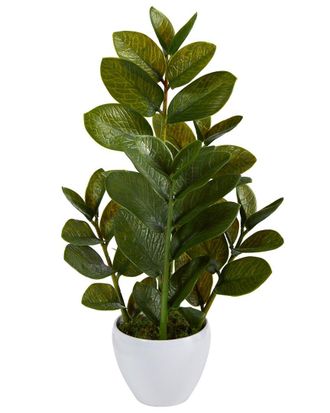 Nearly Natural 22In Zamioculcas Artificial Plant In White Planter