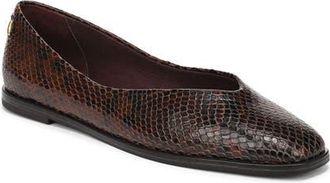Franco Sarto Tesia Flat in Dark Brown at Nordstrom, Size 6.5