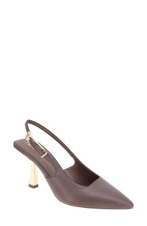 BCBGeneration Inara Slingback Pointed Toe Pump in Brownstone at Nordstrom, Size 6.5