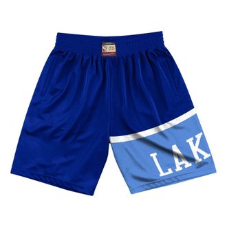 Mitchell & Ness Los Angeles Lakers 1959-60 Team Heritage Shorts Navy Blue SHORAC19049-LALROYA59