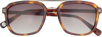 Ted Baker 54mm Polarized Square Sunglasses in Tortoise at Nordstrom Rack