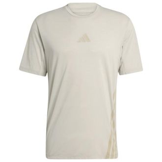 ADIDAS TERREX XPR Tee Funktionsshirt f&uuml;r Herren | beige