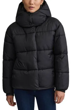 NVLT Cire Wonder Puffer Jacket with Removable Hood in Black at Nordstrom Rack, Size Large
