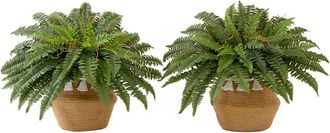 Nearly Natural Set Of Two 23In Artificial Boston Fern Plants With Handmade Tassel Basket Diy Kit