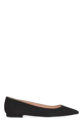 Gianvito Rossi Gianvito Flats in Black at Nordstrom, Size 34.5