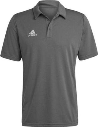 adidas Entrada 22 Polo Shirts Grey H57486