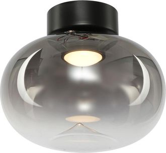 OEM L&aacute;mpara De Techo Vaso Smoked 4w